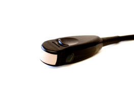bovine transducer curved linear