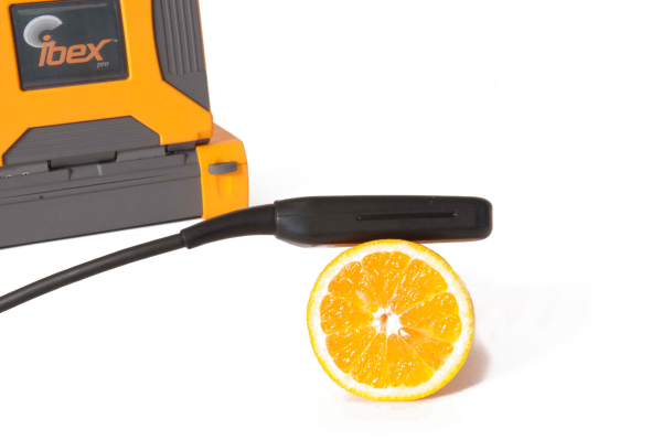 ibex ultrasound orange slice