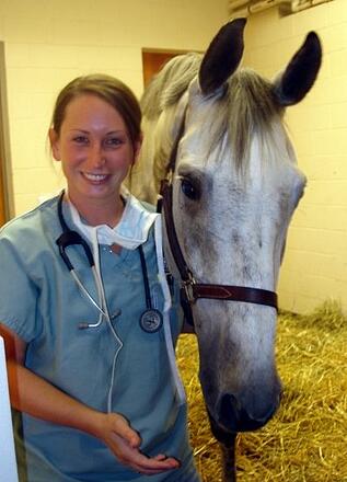 Equine internship ultrasound