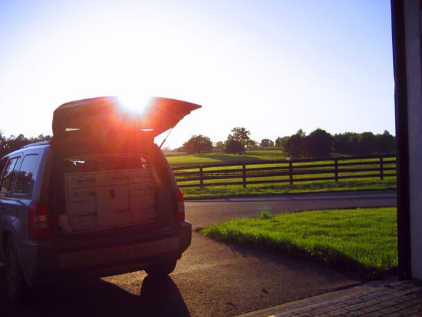 veterinarian sunrise