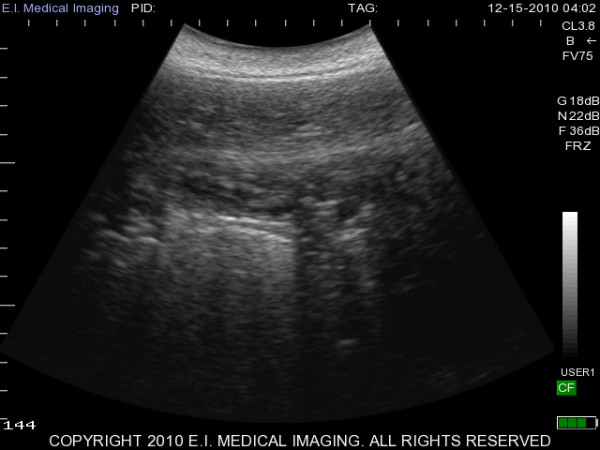 Quina dolphin ovary 01 resized 600