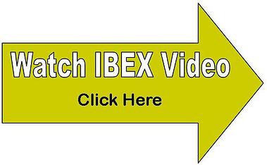 IBEX ultrasound video