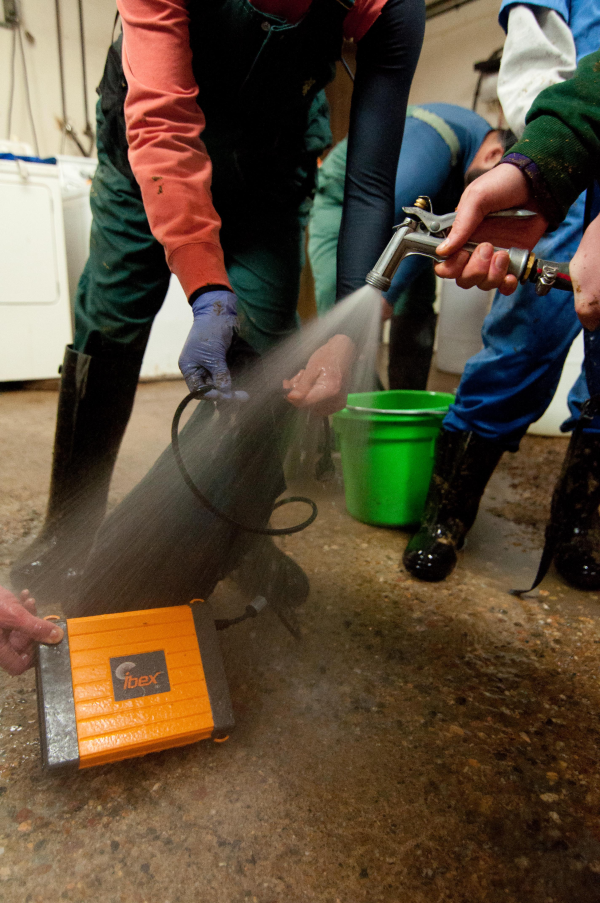 waterproof ultrasound