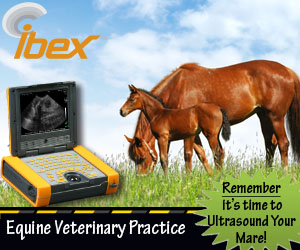 equine vet enewsletter