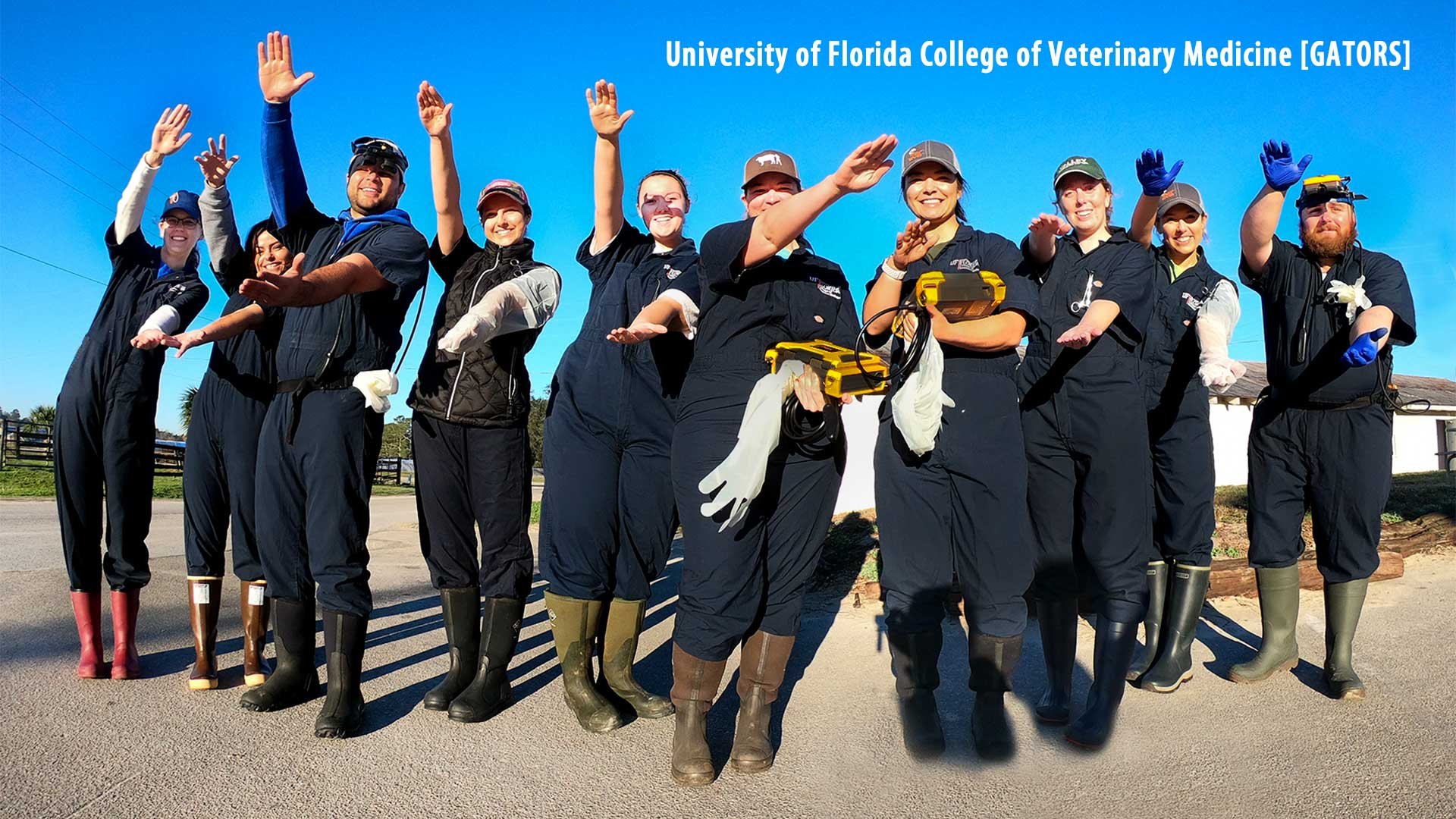 Gators-Vet-students-01-2020-WEB