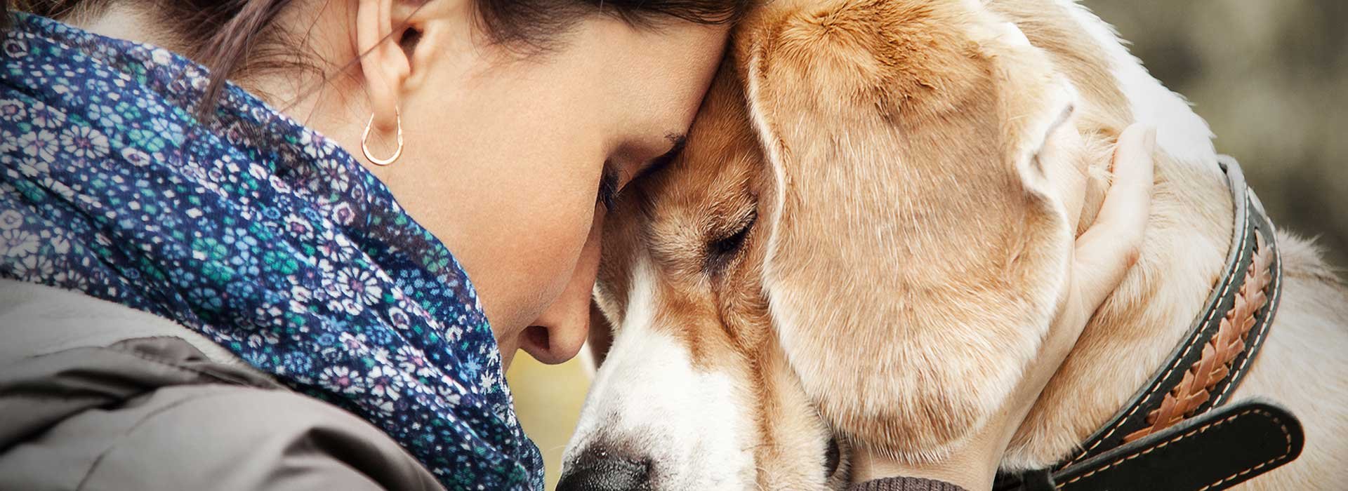 Love your pet with regular ultrasound exams