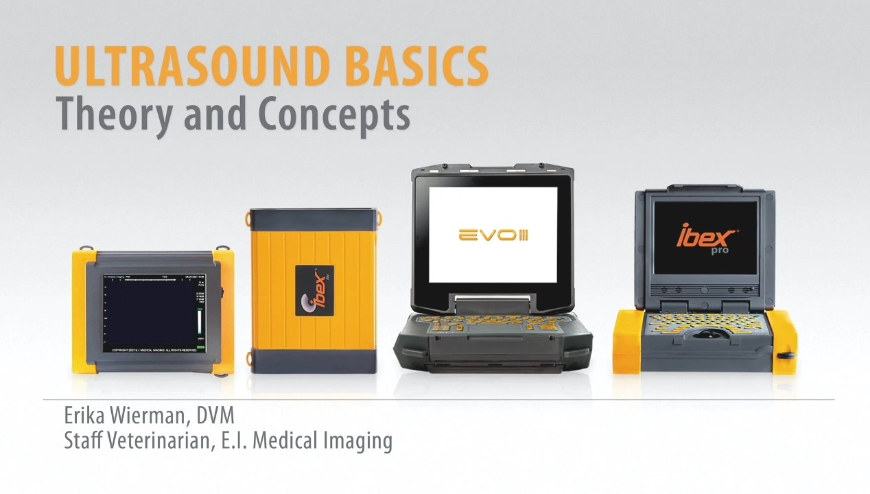 Ultrasound Theory and Concepts-thumb